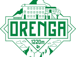 Logo verde (2)